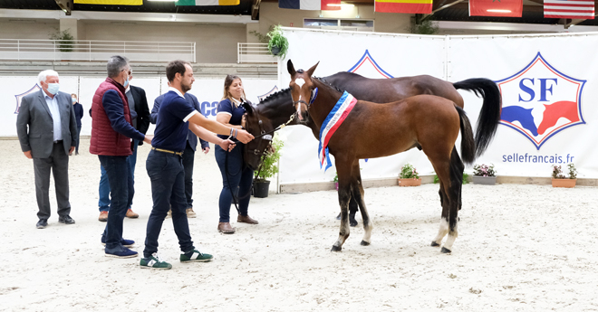 Champion des Mâles : Las de Coeur du Berry