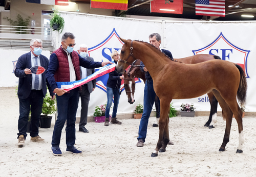 Championne des Femelles : Larissa Blue Diam