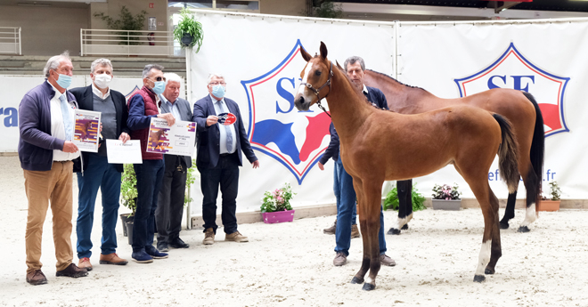 Femelles âgées : 1re Larissa Blue Diam 