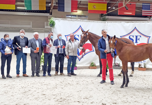 Femelles âgées : 2e Lady Apple du Caires