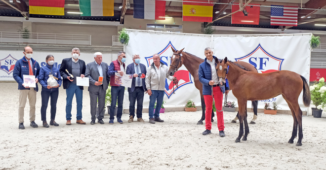 Femelles âgées : 2e Lady Apple du Caires