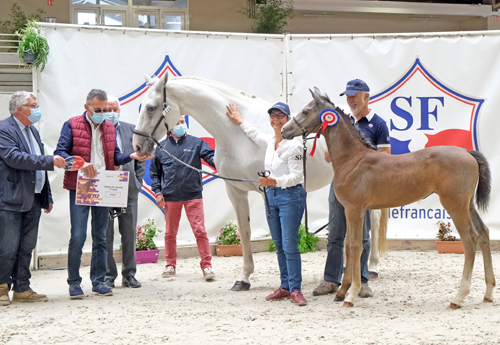 Femelles Jeunes : 1re Liberty Desse