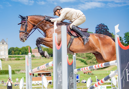 Donatien Schauly/Dgin du Pestel*Mili