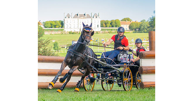 Cédric Scherrer et Calypso (SUI), médaille d'or en attelage solo (© Mélanie Guillamot)