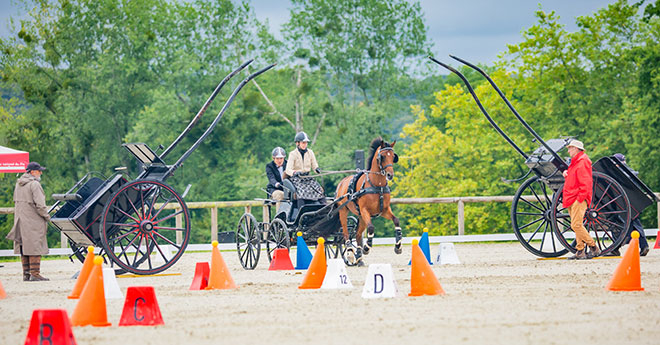 Bérengère Cressent et Dakotah's Owen, médaille de bronze en attelage solo (© Mélanie Guillamot)