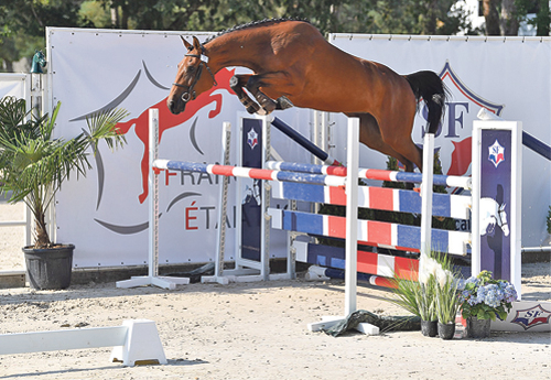 La championne des 3 ans, Italia de Champloue