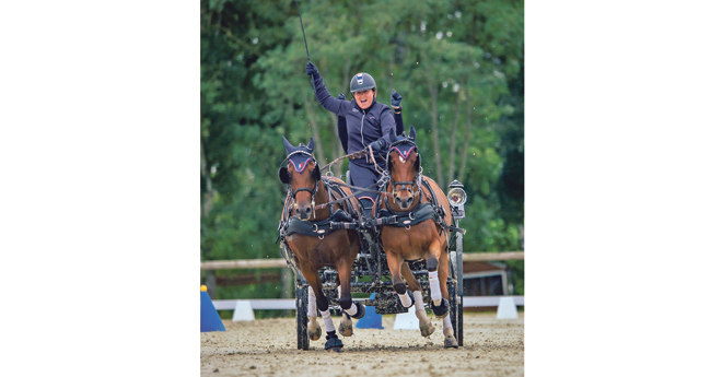 Louise Fillon, Tiesto et Hardo Hoeve’s Hilbert,  médaille de bronze en attelage paire (© Mélanie Guillamot)