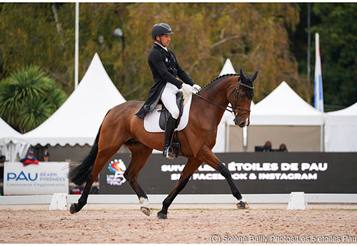 Tim Price et Falco prennent la tête avant le cross de cet après-midi (Photo Solène Bailly)