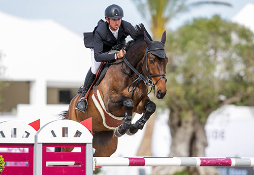 Steve Guerdat/Venard de Cerisy