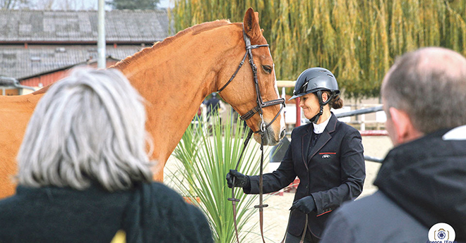 Attentive à son cheval