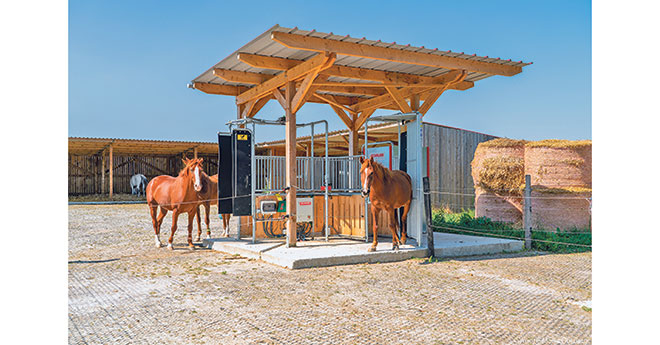 La tendance actuelle, pour le respect du bien-être équin, en matière d’hébergement, passe par la réalisation d’écurie active. Contrairement aux écuries traditionnelles dans lesquelles le cheval est hébergé en box, l’écurie active lui laisse tout loisir de se déplacer à sa guise pour s’alimenter et nouer des contacts sociaux avec ses congénères. Ecurie active, pourquoi, comment et à quel coût ? Ce sera le thème d’un dossier publié dans notre prochaine édition. Notre photo : robot d’alimentation o