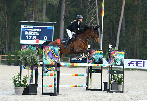 Pro 3 : Olivia Coulet/Othello d'Or Z (© PSV-Jean Morel)