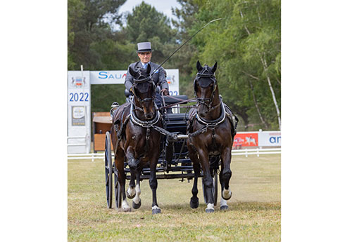 Franck Grimonprez, vice-champion du Monde remporte le CAI3 de la catégorie Chevaux en paire