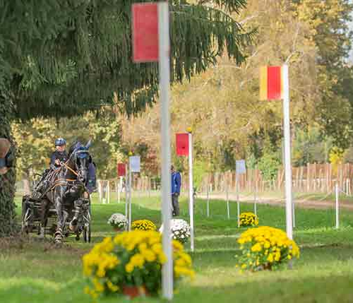 En 2021,une innovation technique sur le CAIO4-H1: un obstacle en ligne droite brisée avec souche