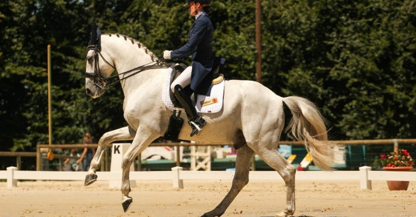 Dressage : Mathilde Juglaret/Caporal de Massa (© Melissa Mula)