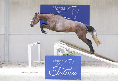 Jalna de Talma