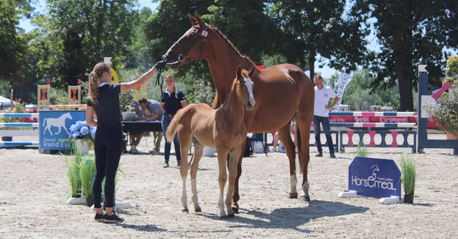 Malou du Saulcy, foal suprême