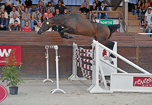 Black Jack DK Z (© Les Garennes)