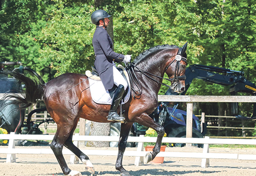 Rémy Issartel/Diamond de Saint Val