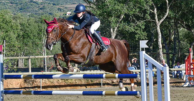 Inès Horrach Mattarelli/Crécerelle du Rohuel (© Gilles Perina)