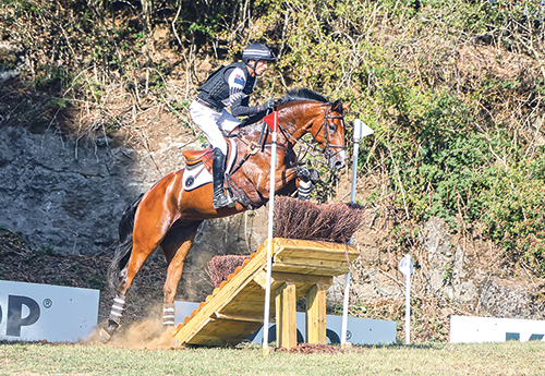 Tim Price et Falco (© GG)
