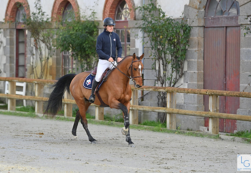 Jarpeggio de Kergane, gagnant des 3 ans (© Photos Les Garennes)