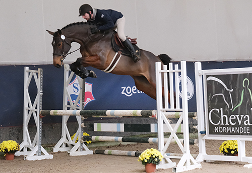 Jordania Semilly (© Cheval Normandie/Jean Bougie-Equin Normand)