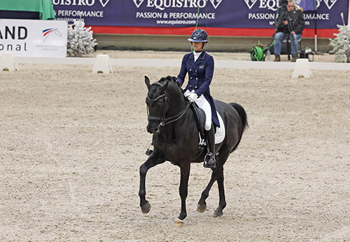Maxime Collard/Cupido PB (© FFE/PSV)