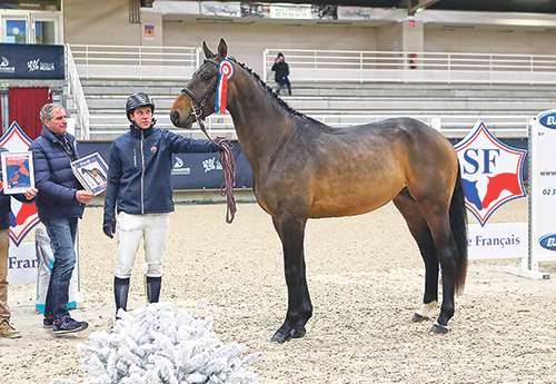 Jackson Tame 3e des 3 ans