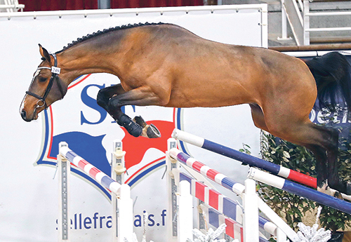 Katoki de Riverland, 2e des 2 ans