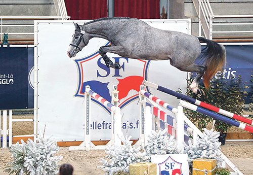 Kyo de Bieville, 3e des 2 ans