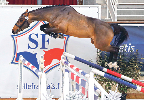 Konte du Linon, 10e des 2 ans