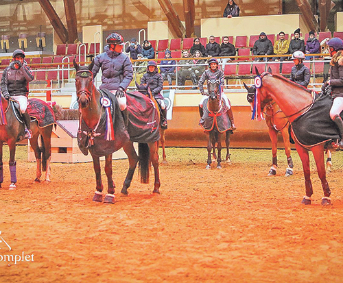 Maxime et Boleybawn Prince remportent le cross indoor pour la seconde fois (© Pauline Chevalier)