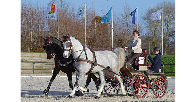 10 mars 2019 : 9e Indoor de Deauville - Laetitia Maricourt (© Etienne Rasse)