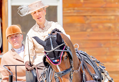 Belle performance pour Anne-Violaine Brisou, la Française prend la 3è marche du cheval solo