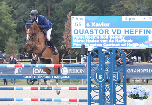 Quastor vd Heffinck/François-Xavier Boudant (© ER)