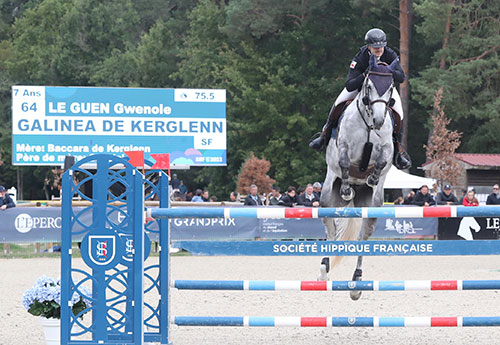 Galinea de Kerglenn/Gwenole le Guen (© ER)
