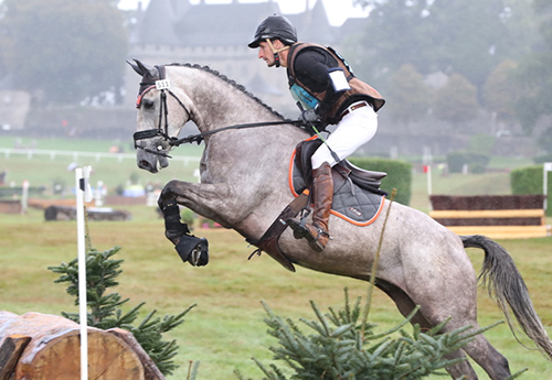 Gin Tonic d'Aury/Amaury Choplain (© ER)