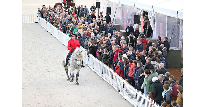 Le Percheron roi du Pin (© ER)