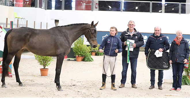 Le cheval, «formidable outil relationnel» à La Garenne-Colombes - Le  Parisien