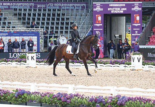 Pauline Basquin et Sertorius de Rima*IFCE est 4e du Grand Prix 5* de Lyon