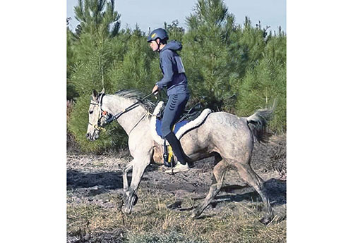 Guillaume Riou et Galice de Pervezen, 7 ans dans la CEI* de Barbaste 100 km (Photos JL Riou)
