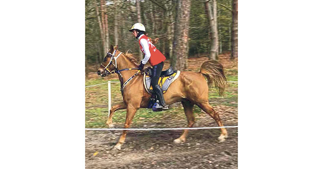 Lisa et Bibou de l’Aulne médailles d’argent des Championnats de France Elite de Fontainebleau