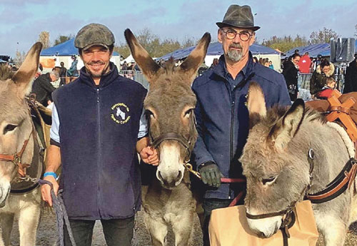 Trophée Régional de l’âne - Nicolas Seguier et Ehop de Tolleville (1er) et Patrice Dauffy avec Ugolin (2e) et Eole de la Justice (3e)