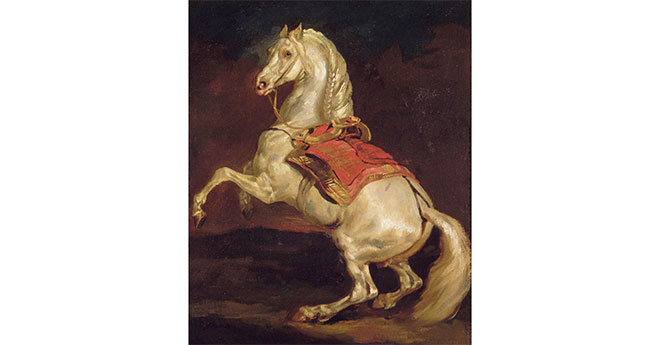 Théodore Géricault (1791-1824), Cheval cabré dit Tamerlan, Rouen, musée des Beaux-Arts (© RMN-Grand Palais / image RMN-GP)