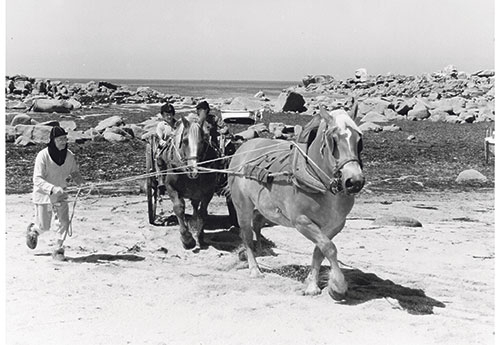 François Le Verge, goémonier (© Archives Route Trait Breizh)