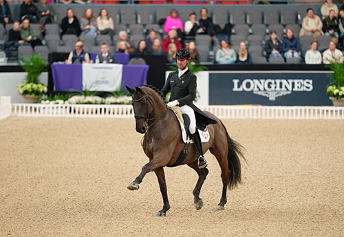 Domien Michiels/Intermezzo (© FEI/Kim C Lundin)