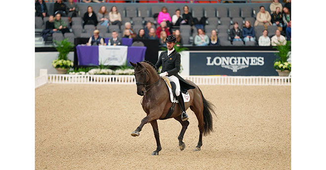 Domien Michiels/Intermezzo (© FEI/Kim C Lundin)