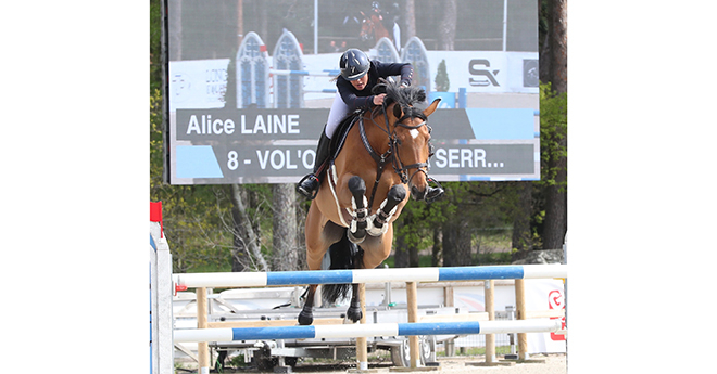 Alice Lainé/Vol'ovent de la Serre*Litiere-Cheval.com