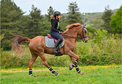 MA : Alexia Magnier (© equus_graphisme)